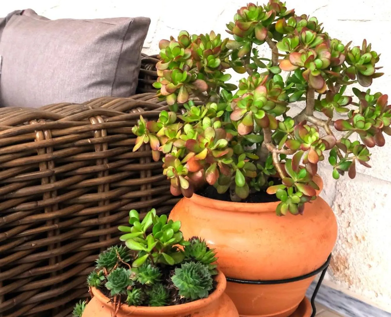 Sani Eclectic Family Villa, Private Garden 펜션